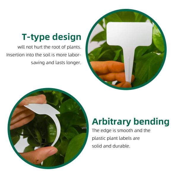 100 T-shaped plant labels, waterproof thick plastic, 6*10cm - 图片 5