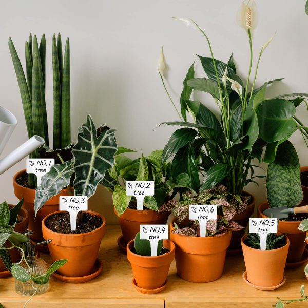 100 T-shaped plant labels, waterproof thick plastic, 6*10cm - 图片 3