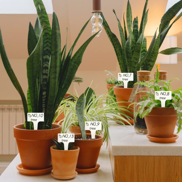 100 T-shaped plant labels, waterproof thick plastic, 6*10cm - 图片 6