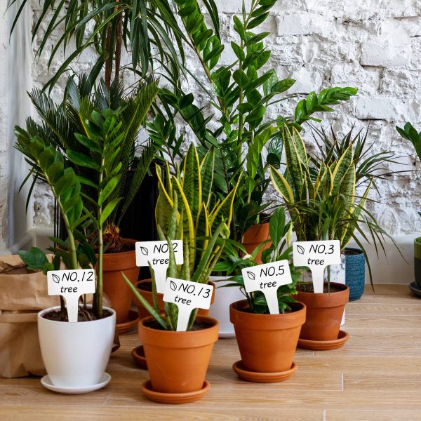 100 T-shaped plant labels, waterproof thick plastic, 6*10cm - 图片 2